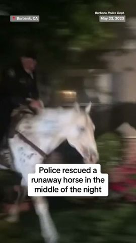 Cowboy Cop Rescues Runaway Horse